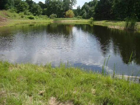764 Thrall Road Poultney VT 05764