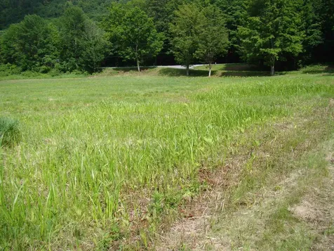 764 Thrall Road Poultney VT 05764