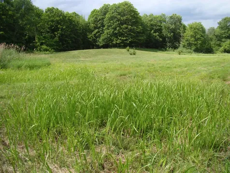 764 Thrall Road Poultney VT 05764