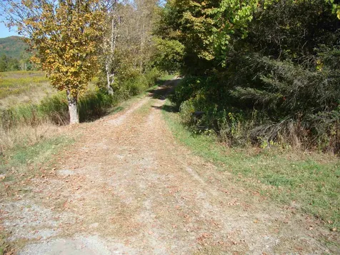 764 Thrall Road Poultney VT 05764