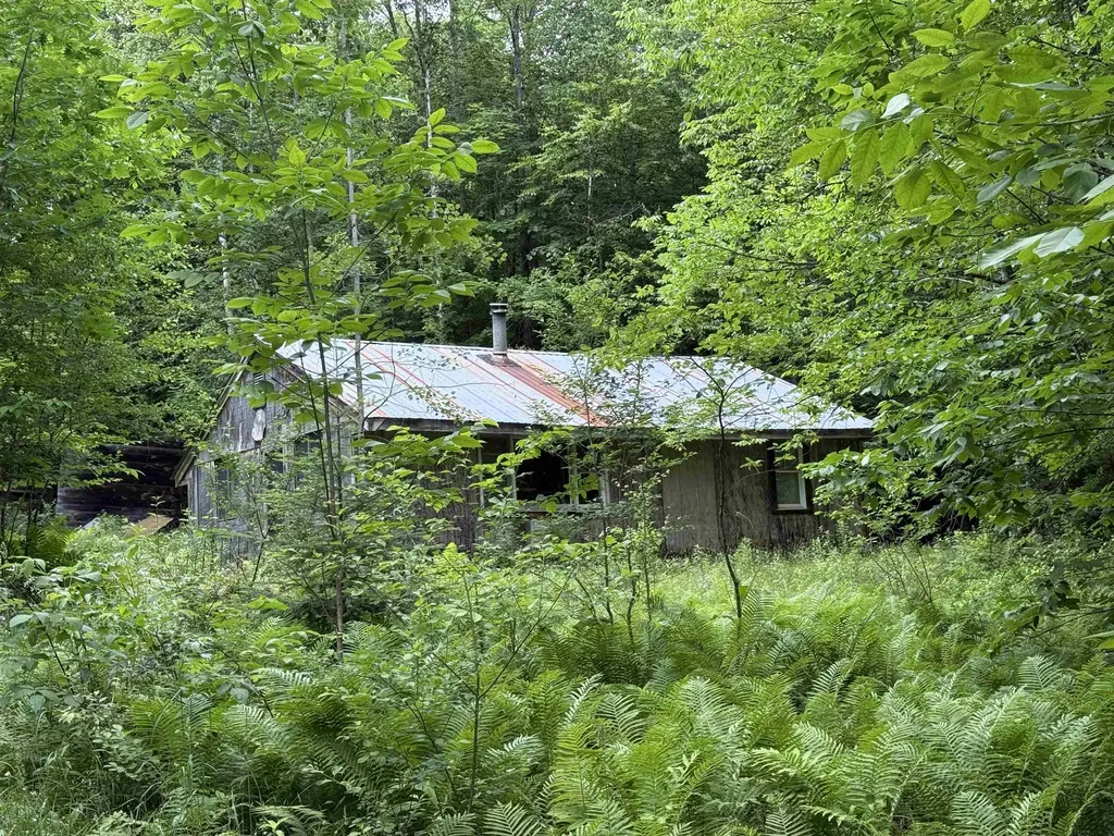 5423 Old County - South Road Waterford VT 05819