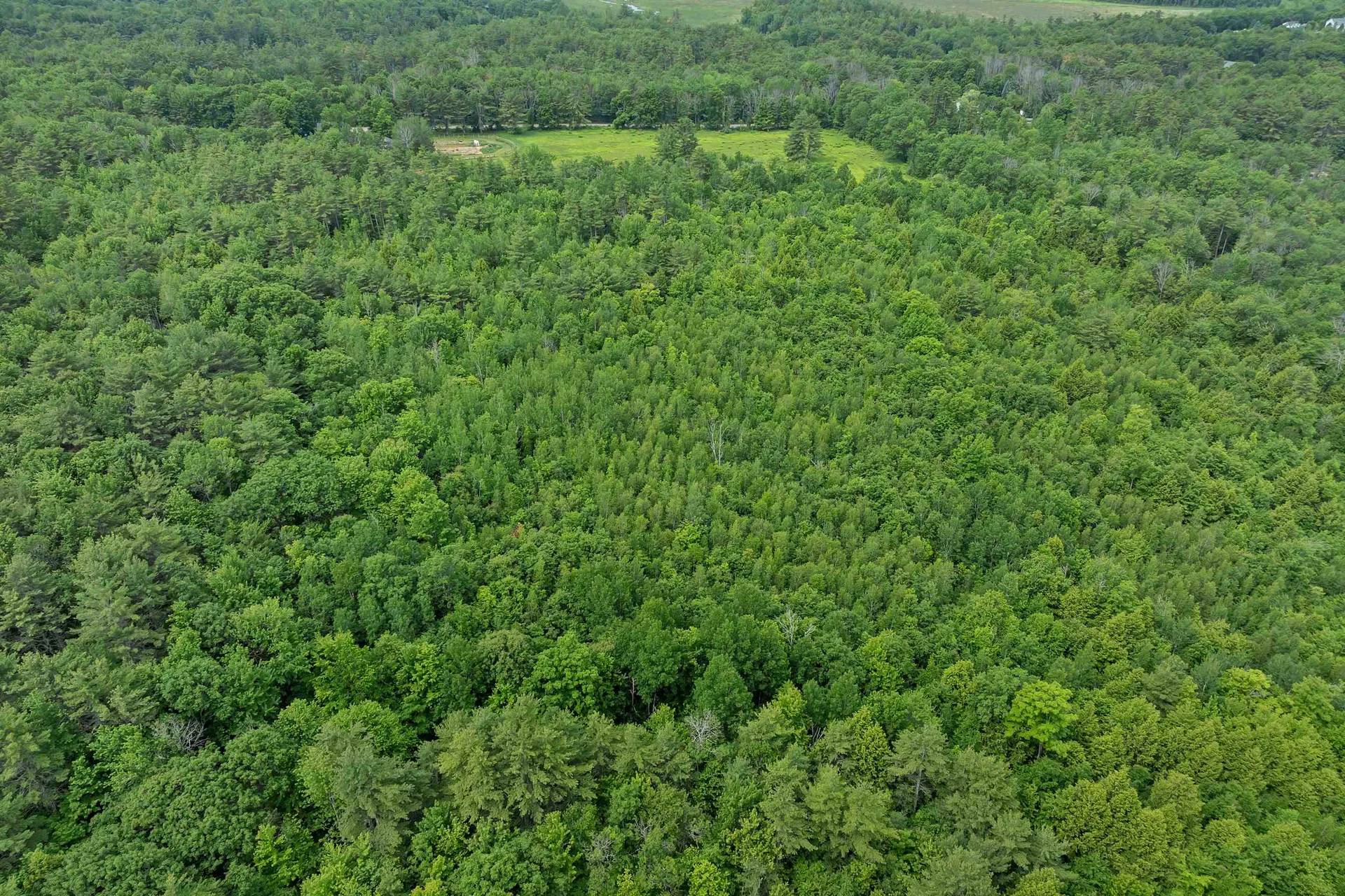 Lot S24-12c Pease Road Meredith NH 03253