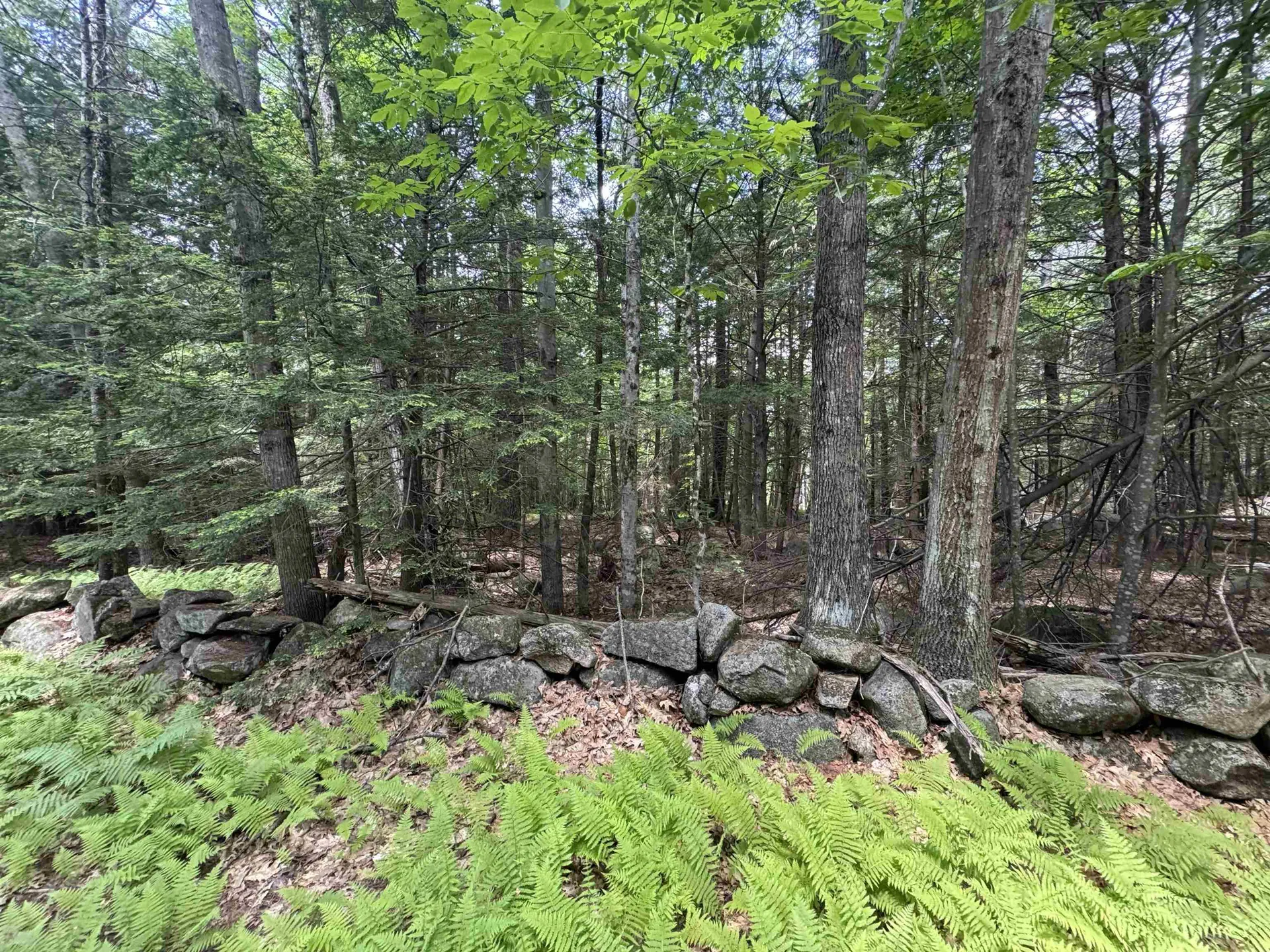 Lot S24-12c Pease Road Meredith NH 03253