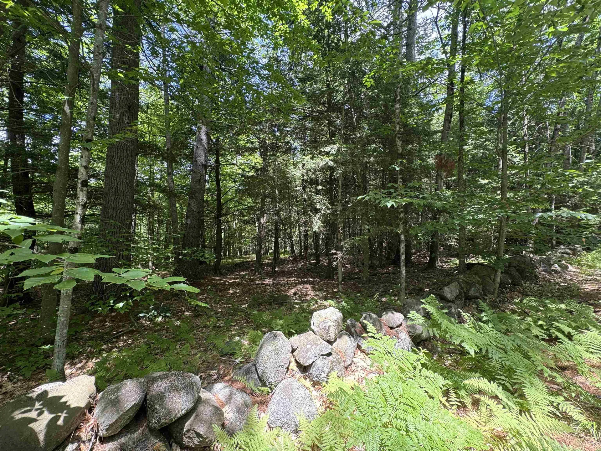 Lot S24-12c Pease Road Meredith NH 03253