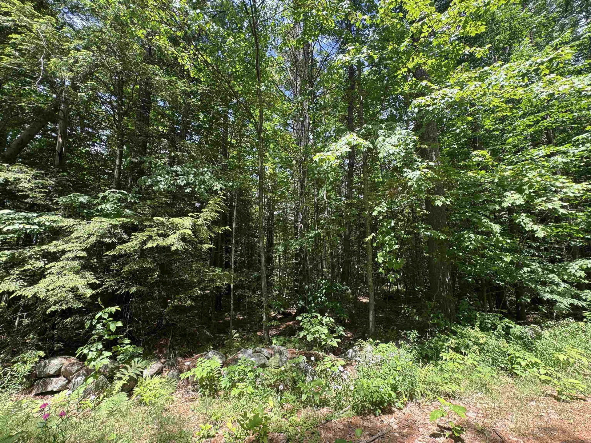 Lot S24-12c Pease Road Meredith NH 03253