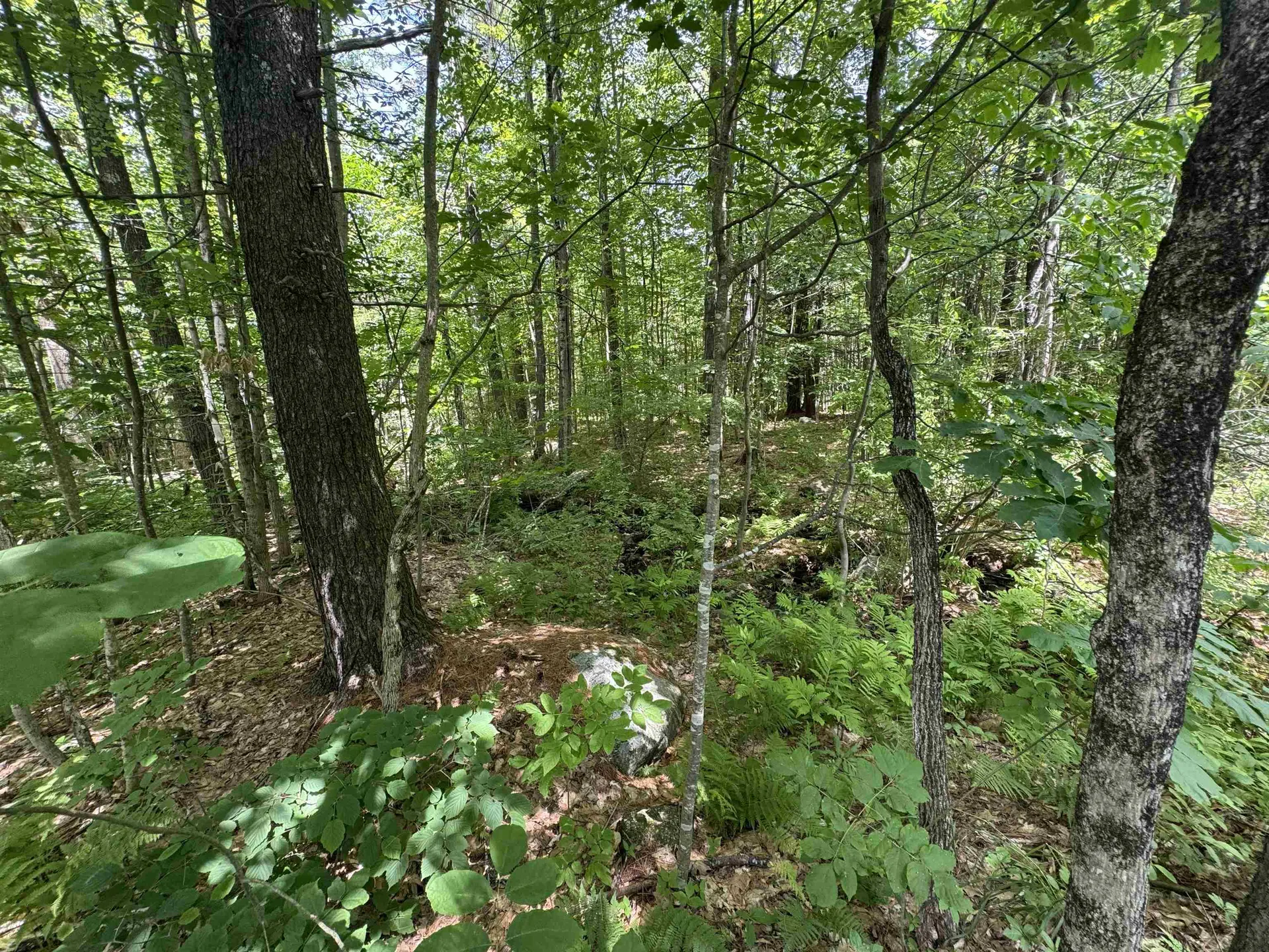 Lot S24-12c Pease Road Meredith NH 03253