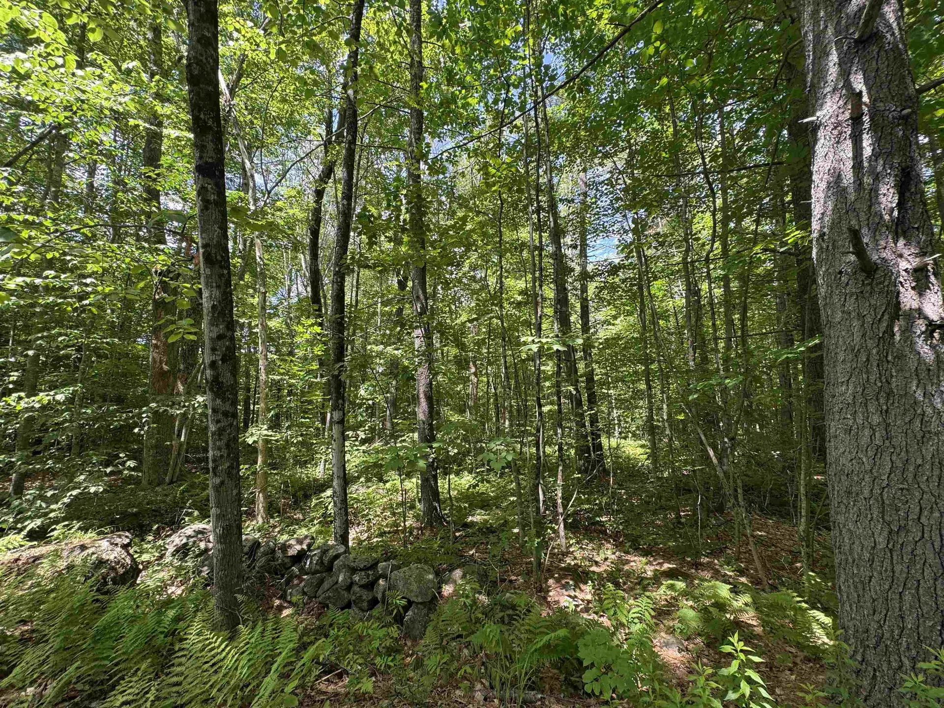 Lot S24-12c Pease Road Meredith NH 03253