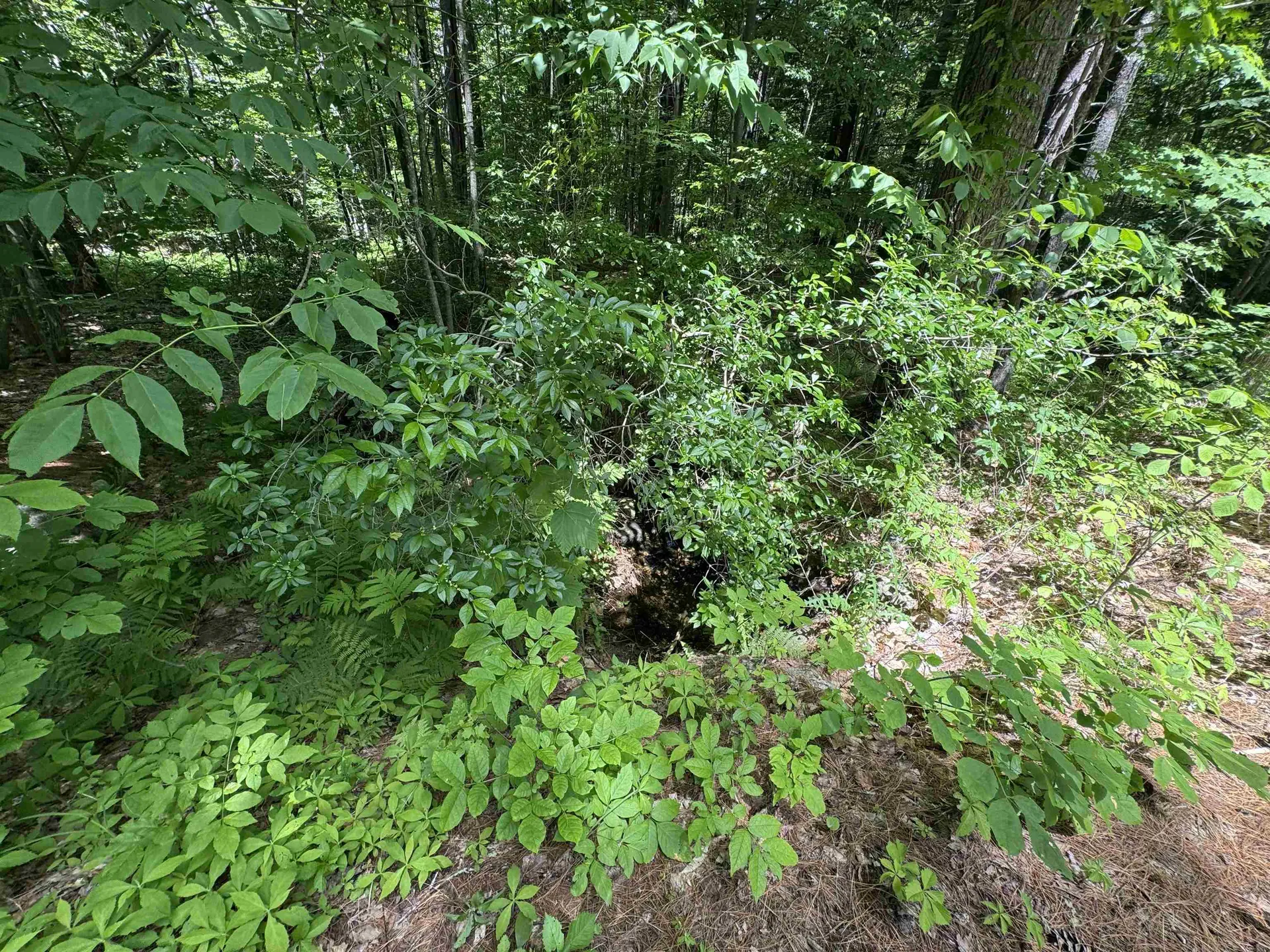 Lot S24-12c Pease Road Meredith NH 03253