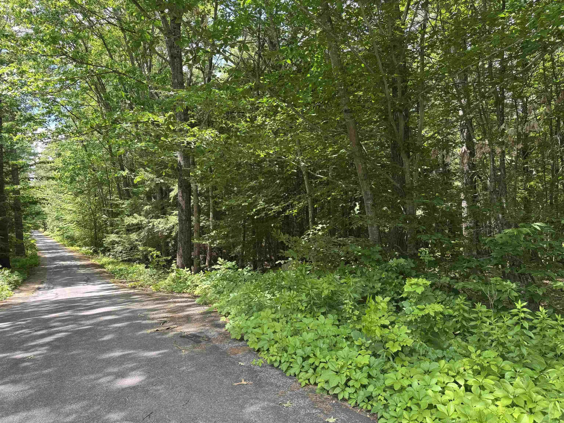 Lot S24-12c Pease Road Meredith NH 03253