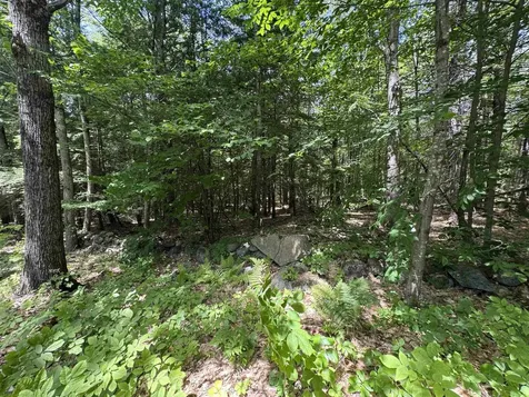Lot S24-12c Pease Road Meredith NH 03253