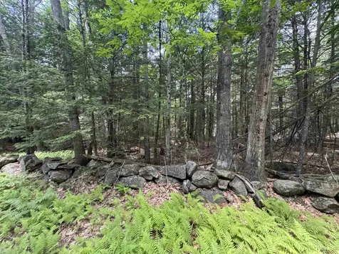 Lot S24-12c Pease Road Meredith NH 03253