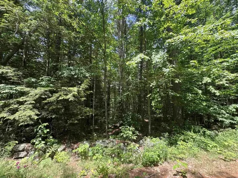 Lot S24-12c Pease Road Meredith NH 03253