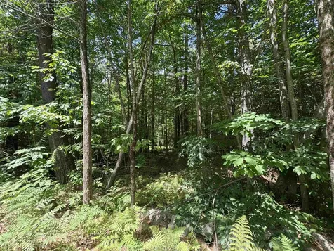 Lot S24-12c Pease Road Meredith NH 03253