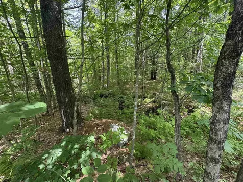 Lot S24-12c Pease Road Meredith NH 03253