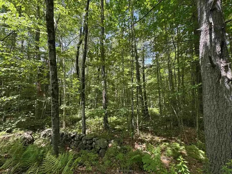Lot S24-12c Pease Road Meredith NH 03253