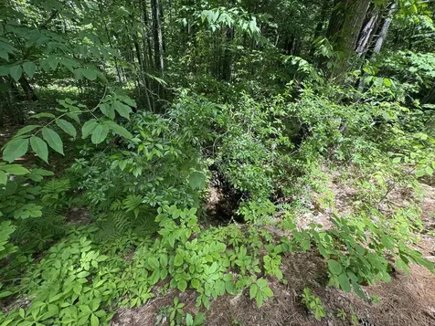 Lot S24-12c Pease Road Meredith NH 03253