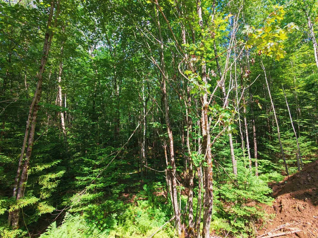 -- Oregon Road Concord VT 05824