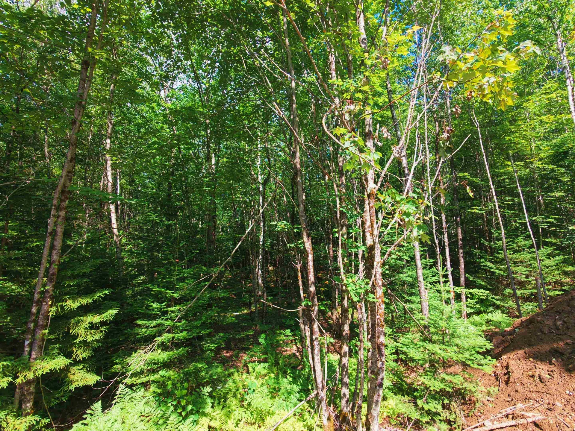 -- Oregon Road Concord VT 05824