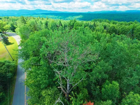 -- Oregon Road Concord VT 05824