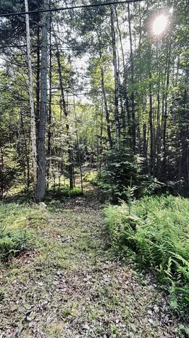 -- Oregon Road Concord VT 05824