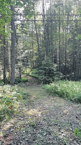 -- Oregon Road Concord VT 05824