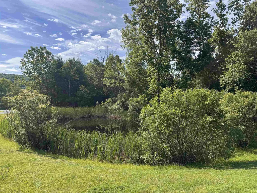 111 Harmony Lane Dorset VT 05255