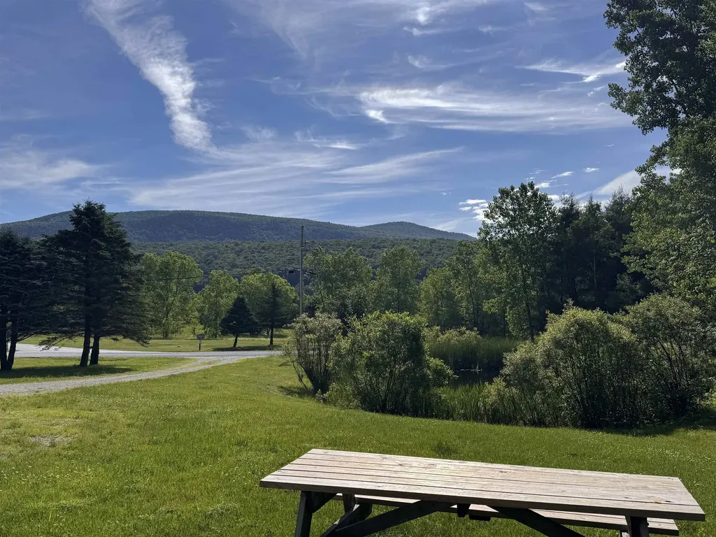 111 Harmony Lane Dorset VT 05255