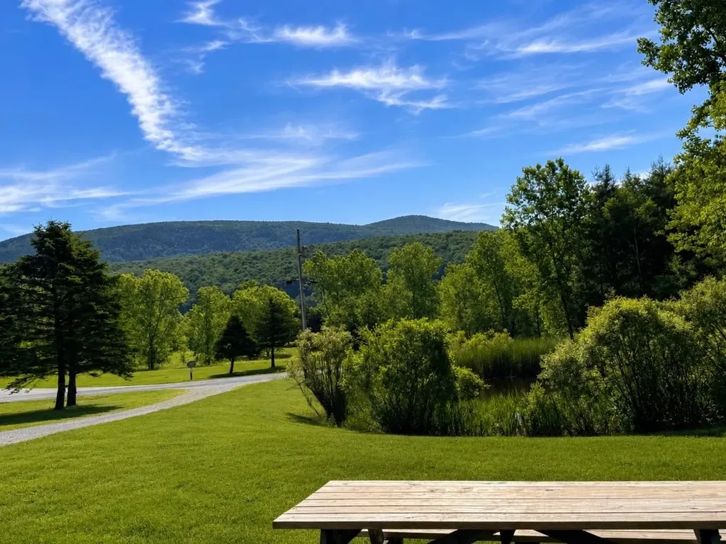 111 Harmony Lane Dorset VT 05255