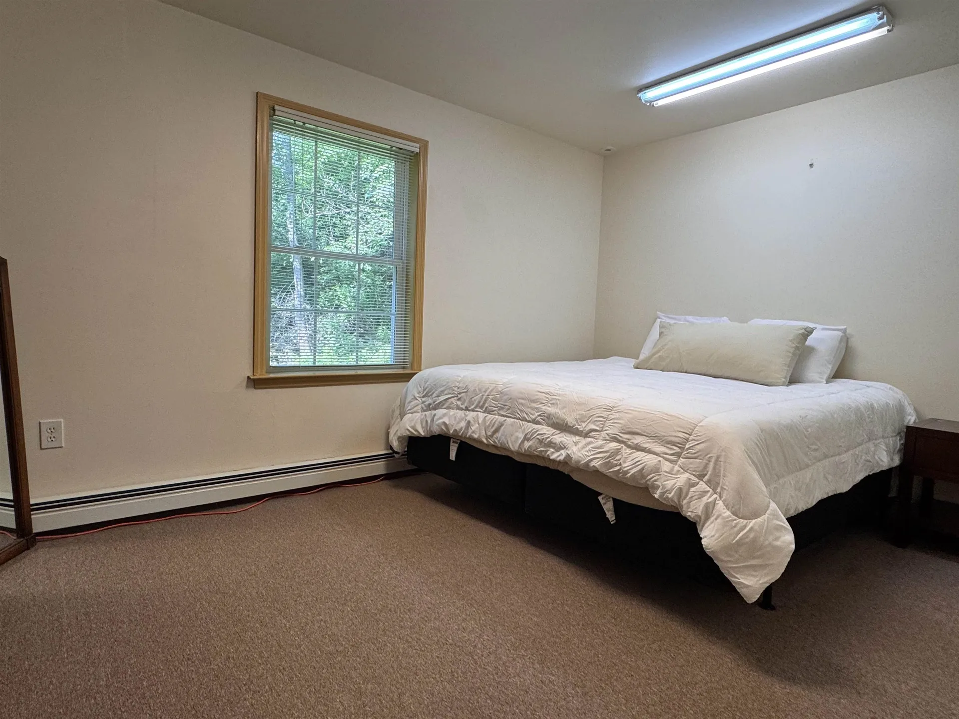 111 Harmony Lane Dorset VT 05255