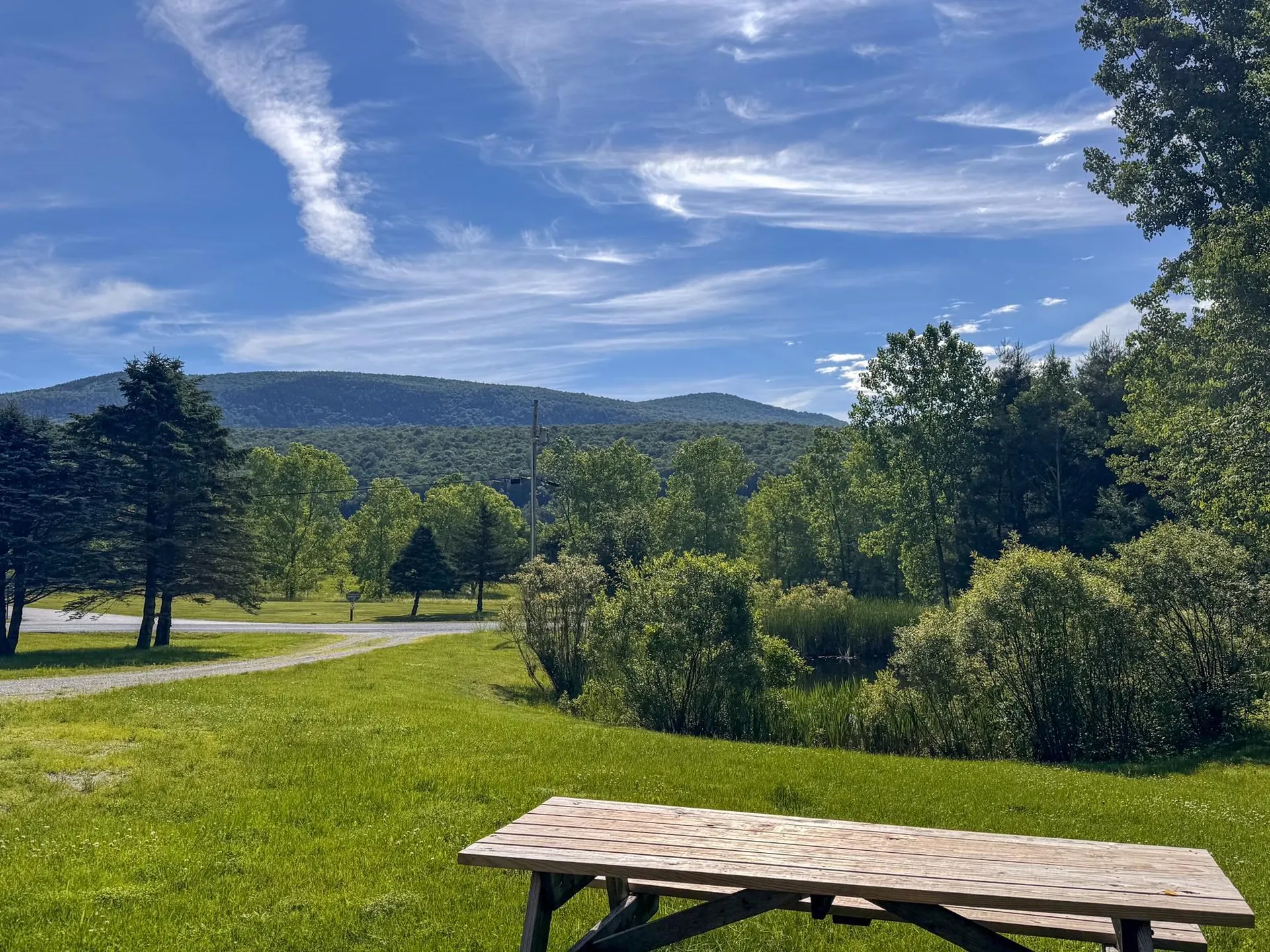 111 Harmony Lane Dorset VT 05255