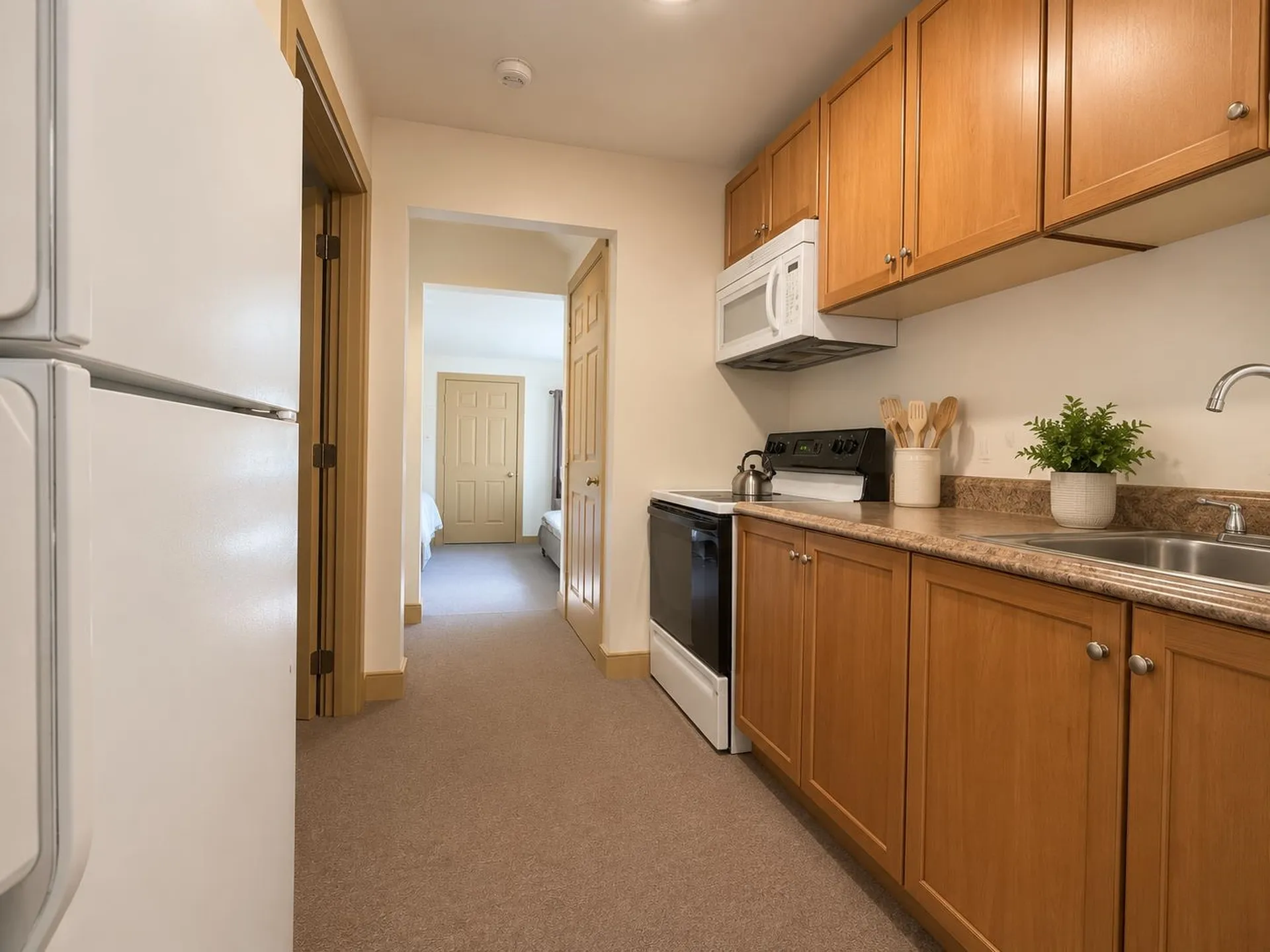 111 Harmony Lane Dorset VT 05255