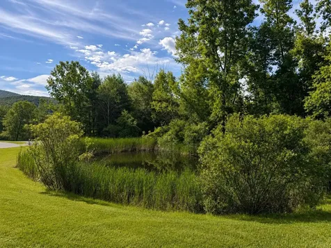 111 Harmony Lane Dorset VT 05255