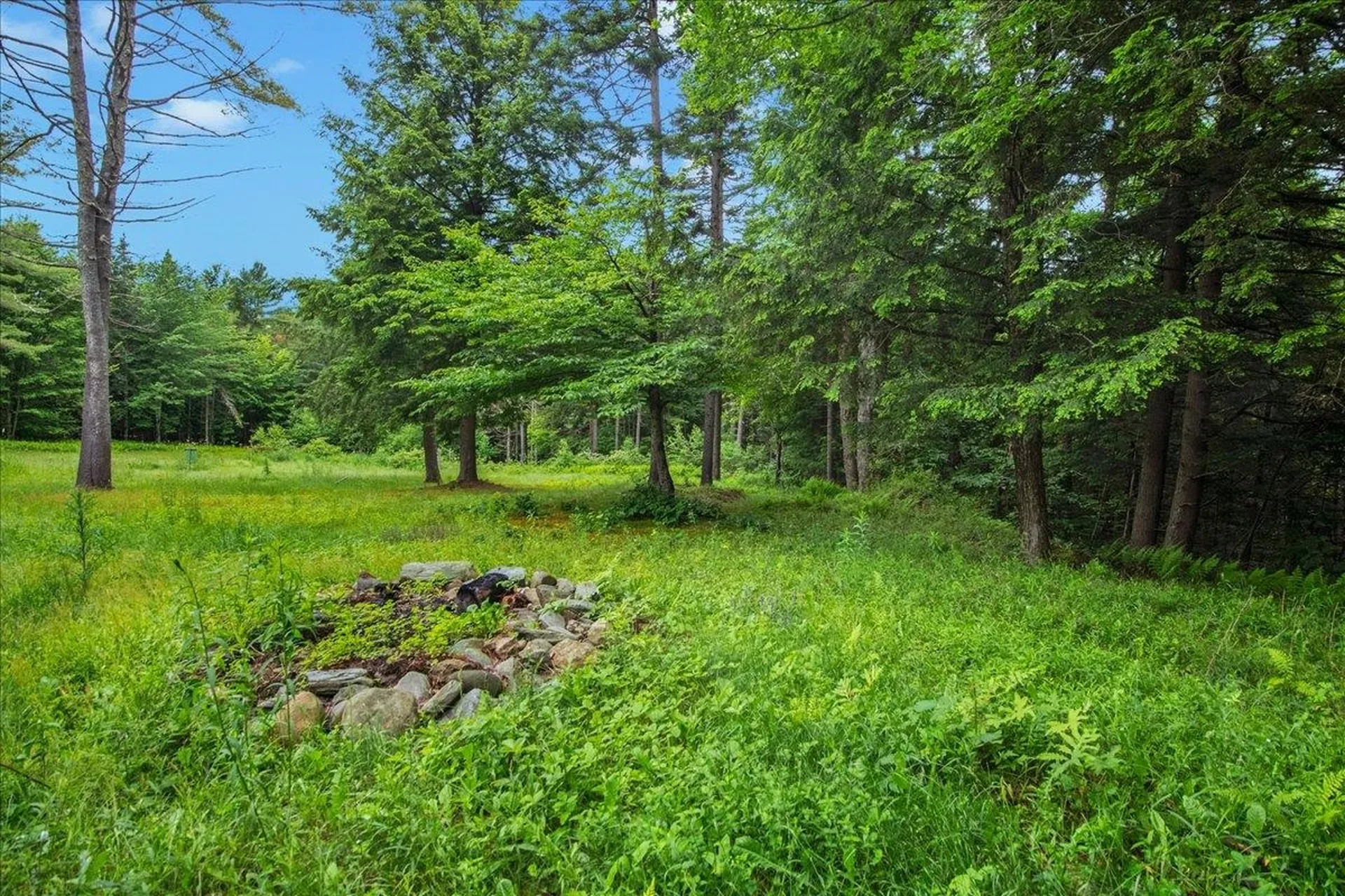979 Corley Road Wolcott VT 05680
