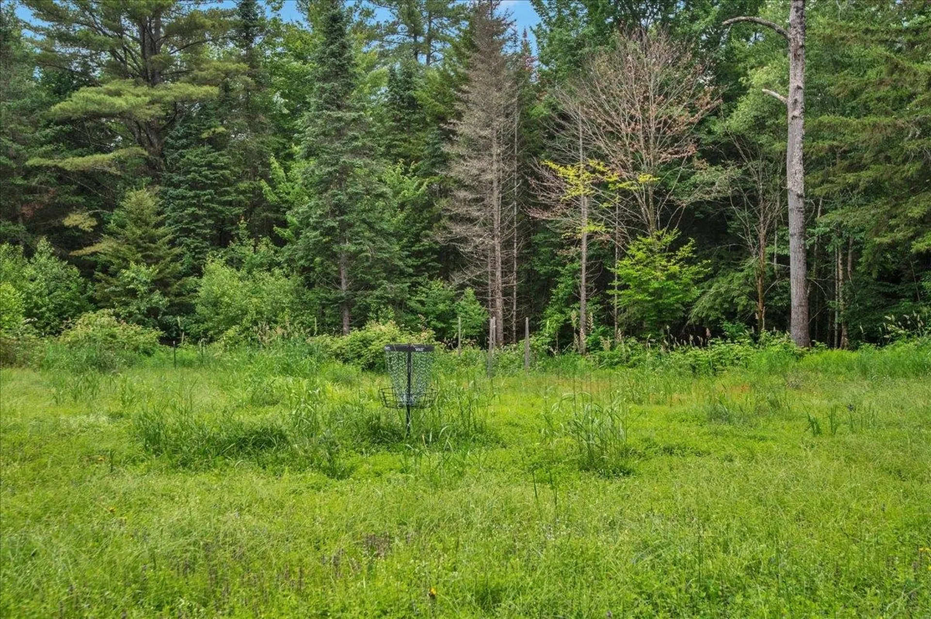 979 Corley Road Wolcott VT 05680