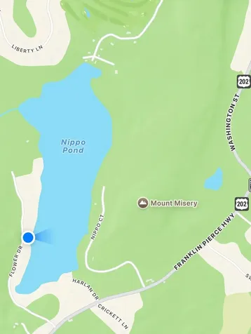 208 Flower Drive Barrington NH 03825