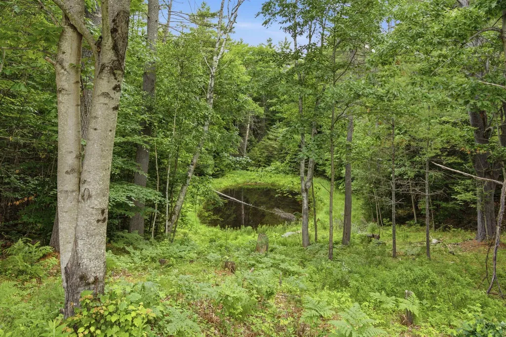 40 James Lane Haverhill NH 03780