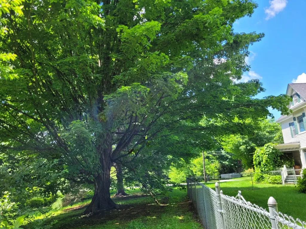 17 Maplewood Avenue Milton VT 05468