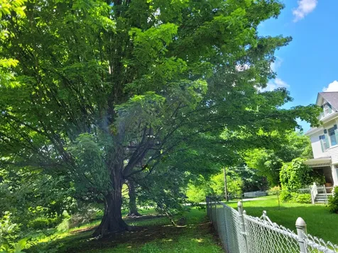 17 Maplewood Avenue Milton VT 05468