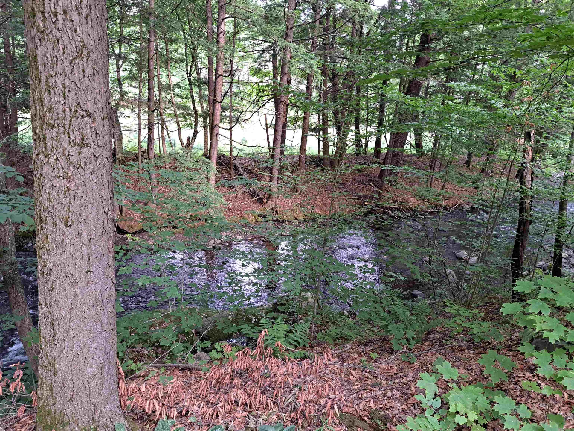 23 Chase Hill Road Cornish NH 03745