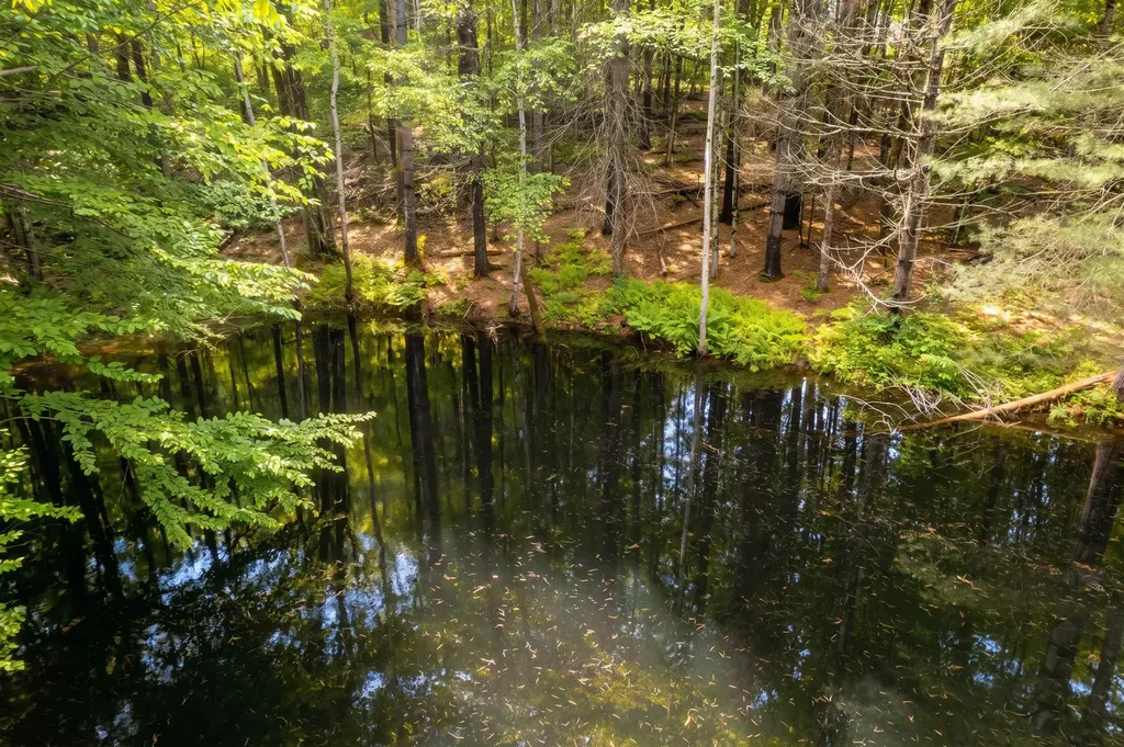 2238 Upper Michigan Road Pittsfield VT 05762