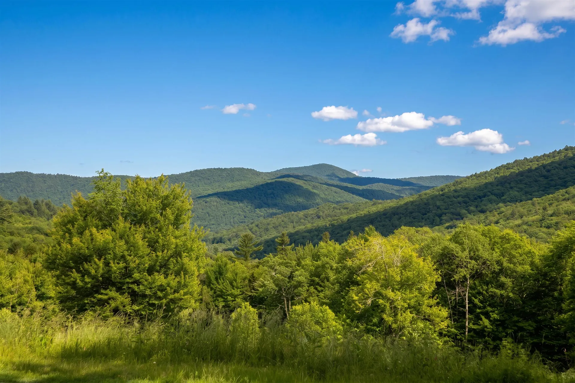 2238 Upper Michigan Road Pittsfield VT 05762