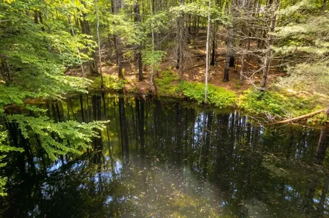 2238 Upper Michigan Road Pittsfield VT 05762