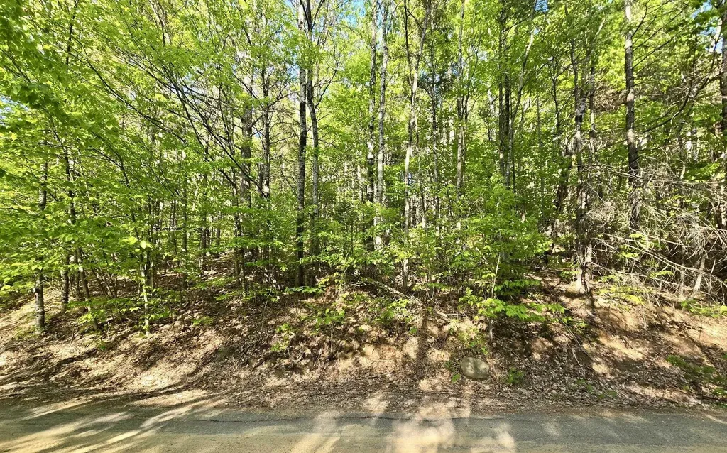 00 Isaac Fox Drive Campton NH 03223