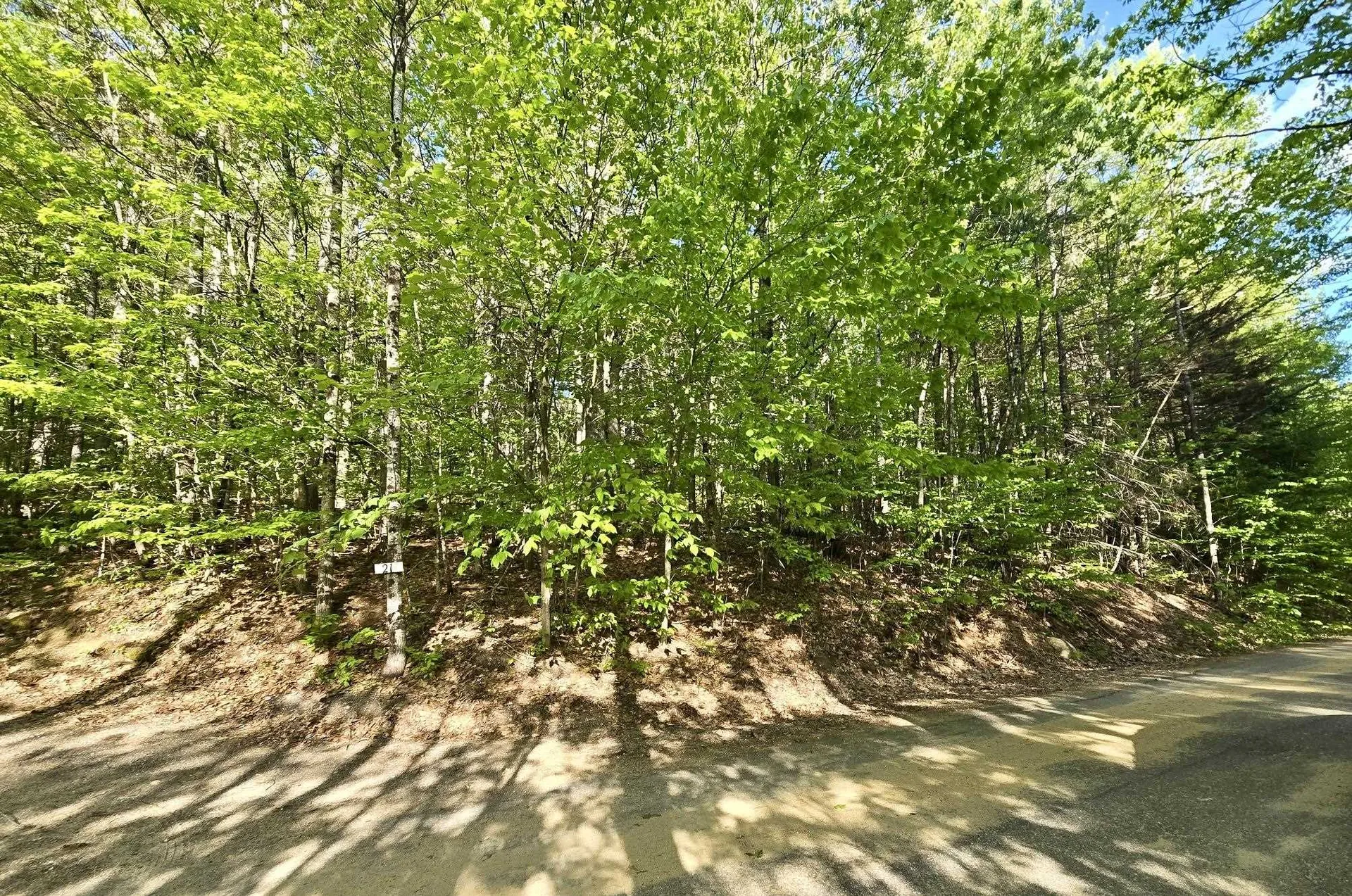 00 Isaac Fox Drive Campton NH 03223