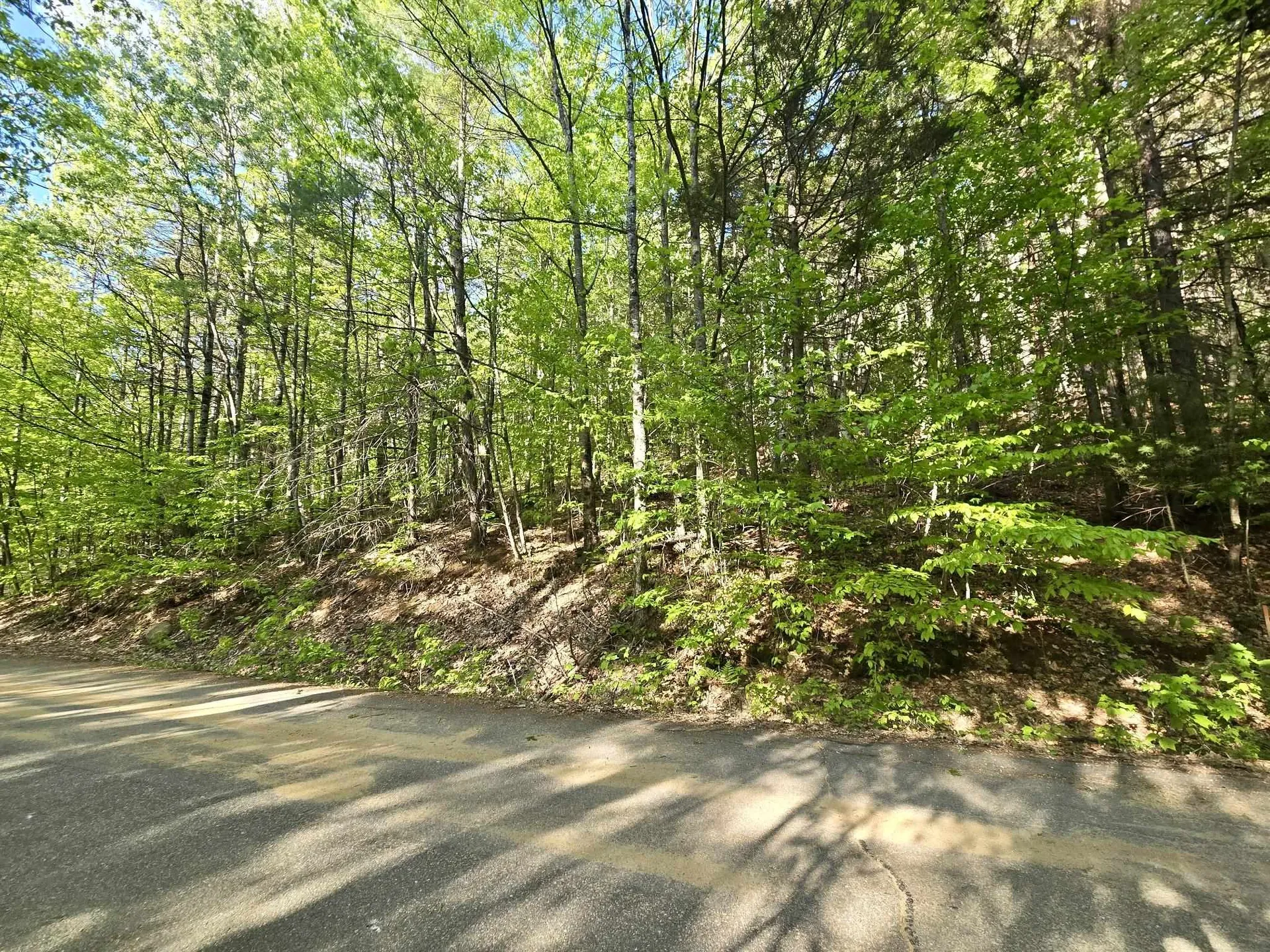 00 Isaac Fox Drive Campton NH 03223