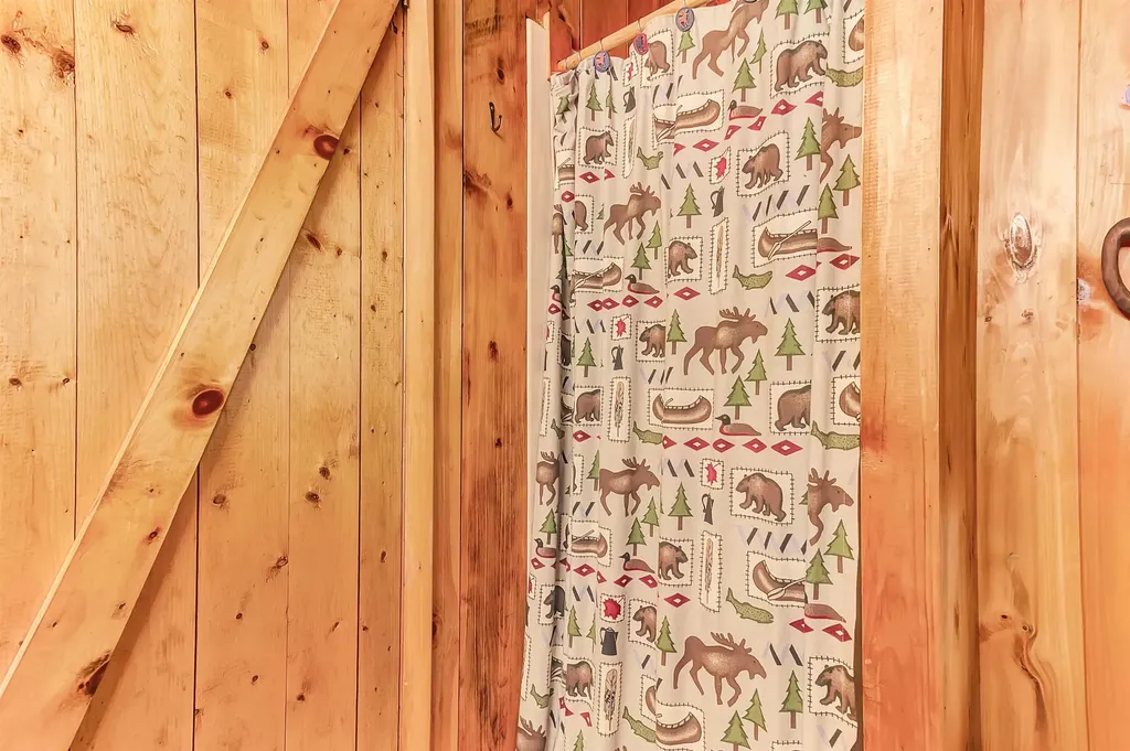 176 Brophy Lane Londonderry VT 05155