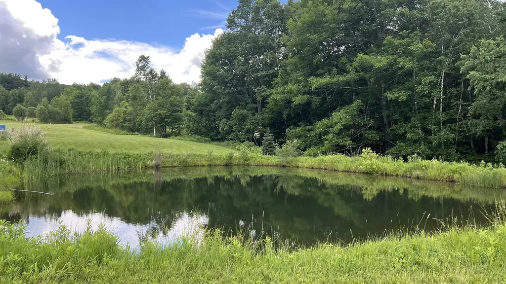412 Hall Ranch Road Grafton VT 05146