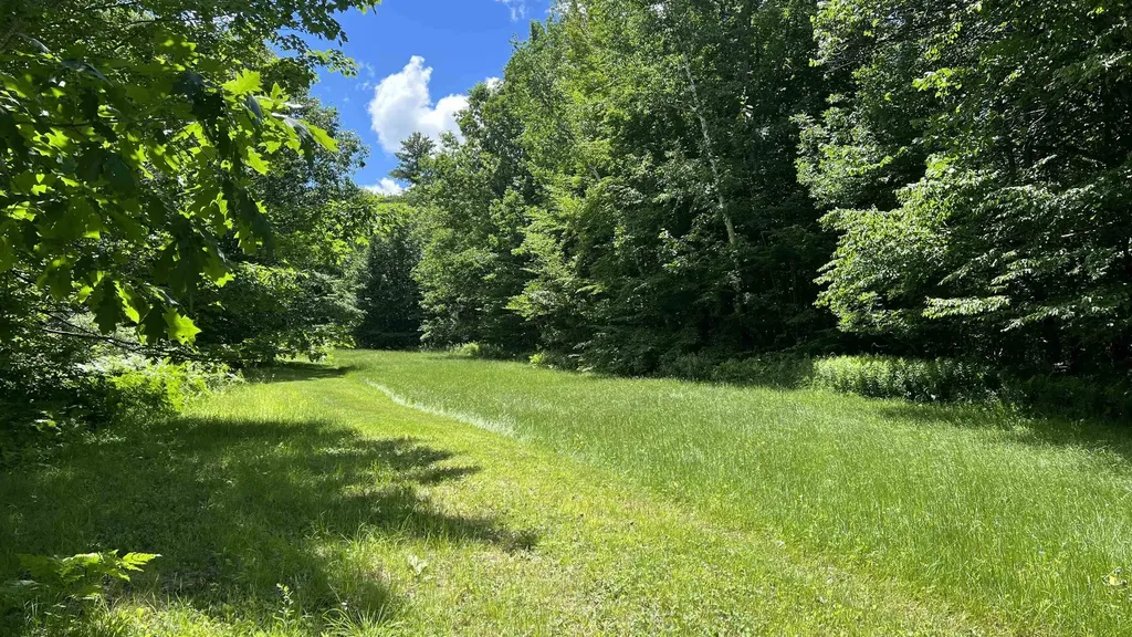412 Hall Ranch Road Grafton VT 05146
