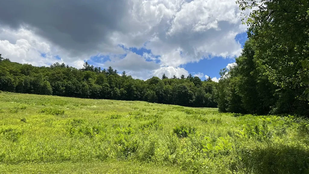 412 Hall Ranch Road Grafton VT 05146