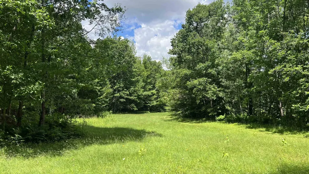 412 Hall Ranch Road Grafton VT 05146
